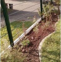 Neu bepflanzte Beeteinfassung in einem umgestalteten Garten in Karlsruhe