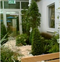 Beispiel 4: Gestaltung der Dachterrasse eines Kaufhauses vorher