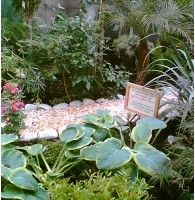 Bepflanzte Dachterrasse mit Hostas und Kieswegen