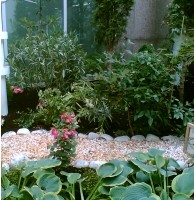 Beispiel 4: Gestaltung der Dachterrasse eines Kaufhauses vorher