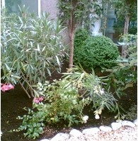 Üppige Bepflanzung in einem von Gartengestaltung Stoll angelegten Innenhof
